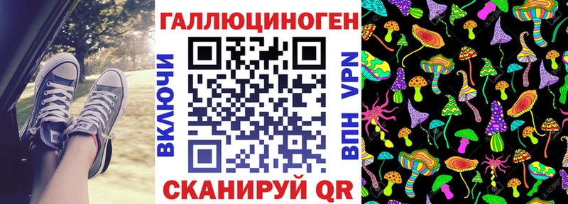 Купить где  Кингисепп  Псилоцибиновые грибы Magic Shrooms 