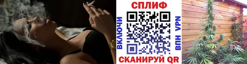 Купить закладки Кингисепп МАРИХУАНА сатива